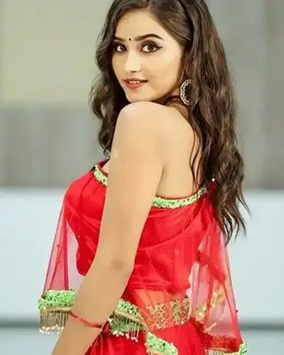 Call Girls Service Visavadar